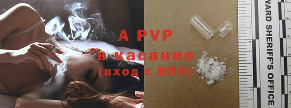 сатива Алзамай