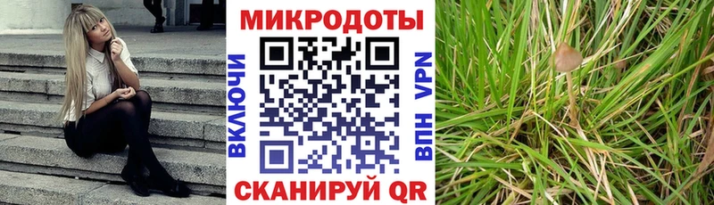 купить  цена  Калач  Псилоцибиновые грибы MAGIC MUSHROOMS 